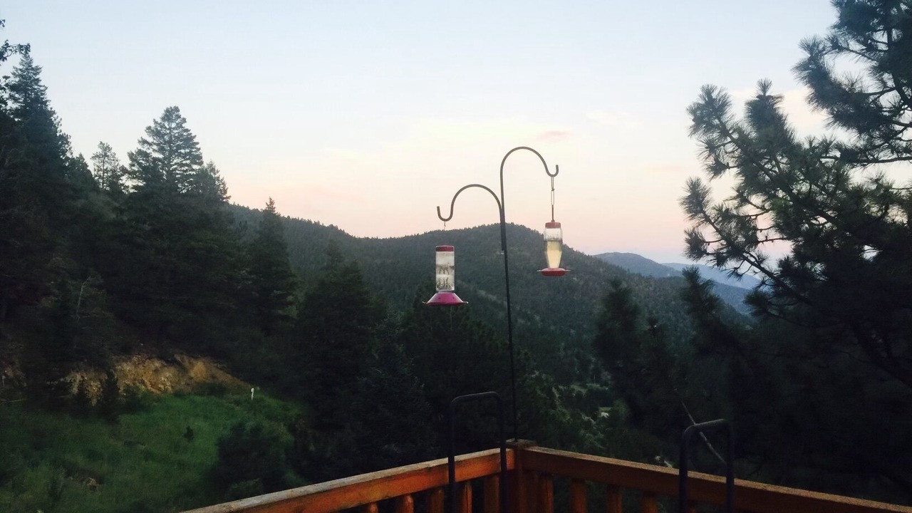 Photo of Others in Idaho Springs
