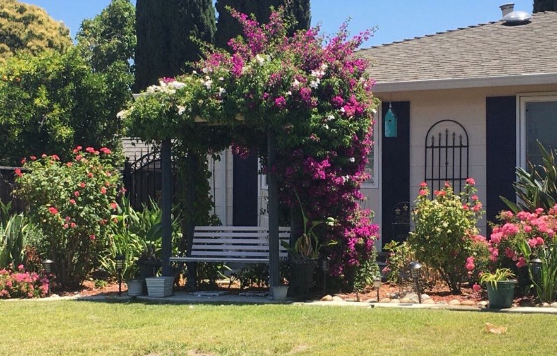 Photo of Outdoor in South San Jose