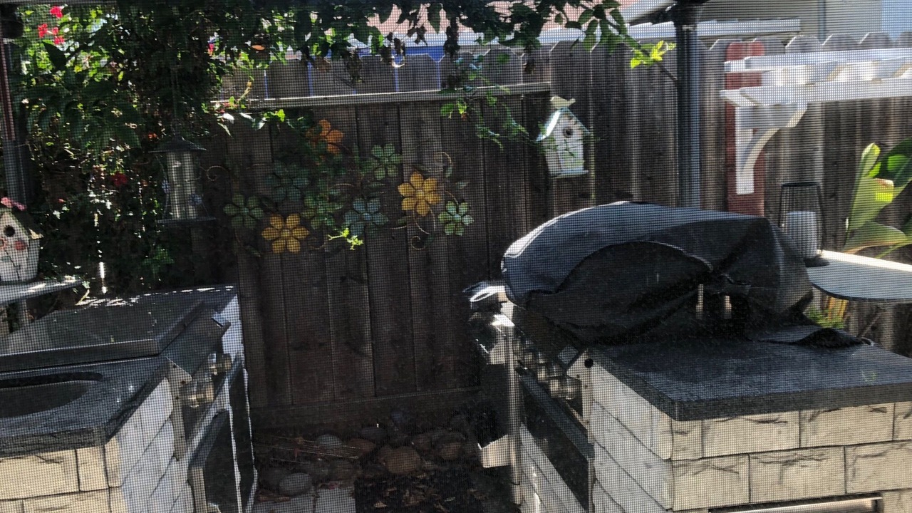 Photo of Outdoor in South San Jose