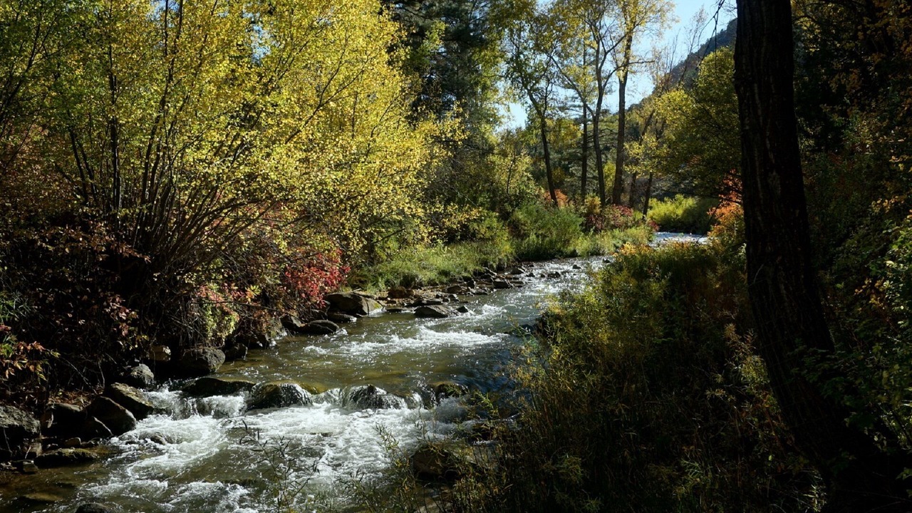 Photo of Outdoor in Ridgway