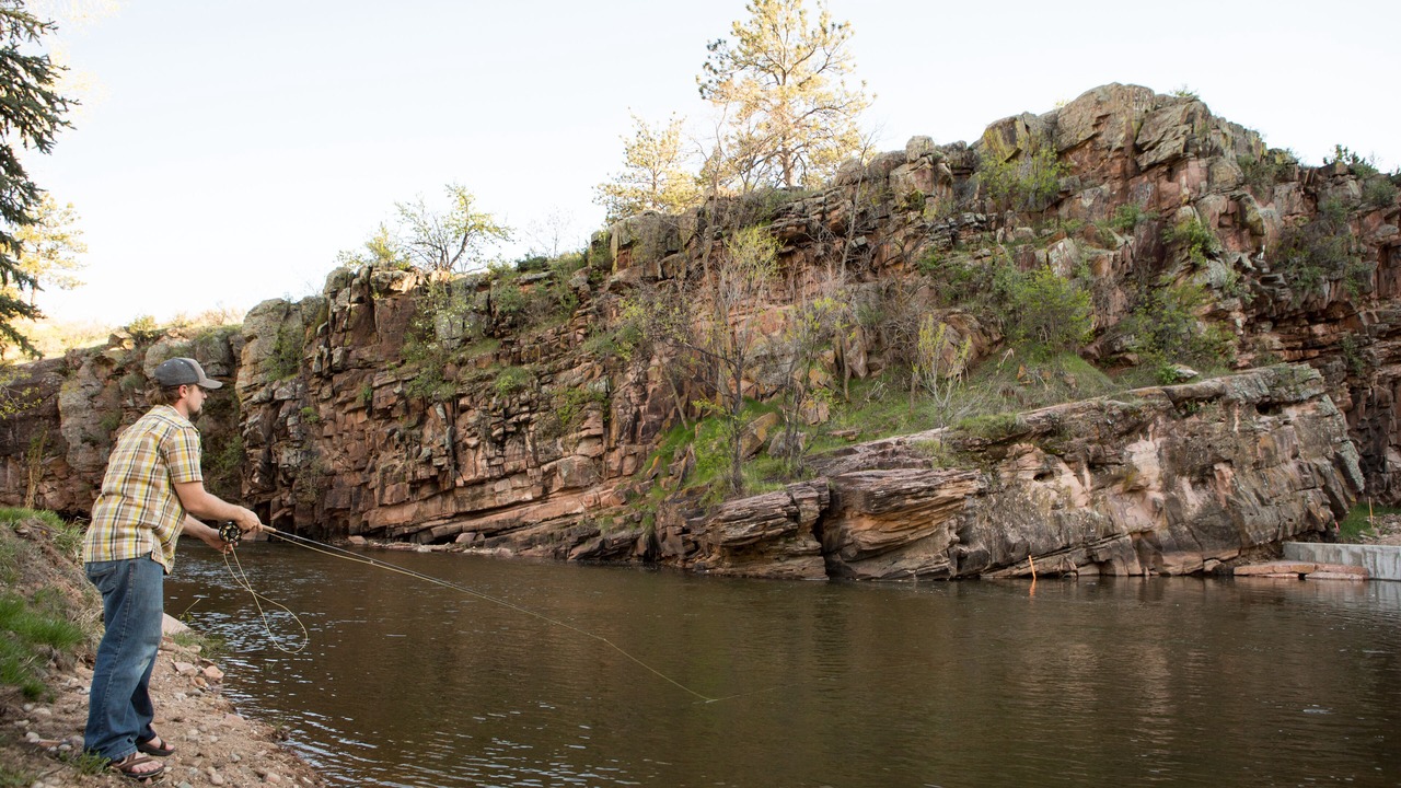 Photo of Others in Lyons
