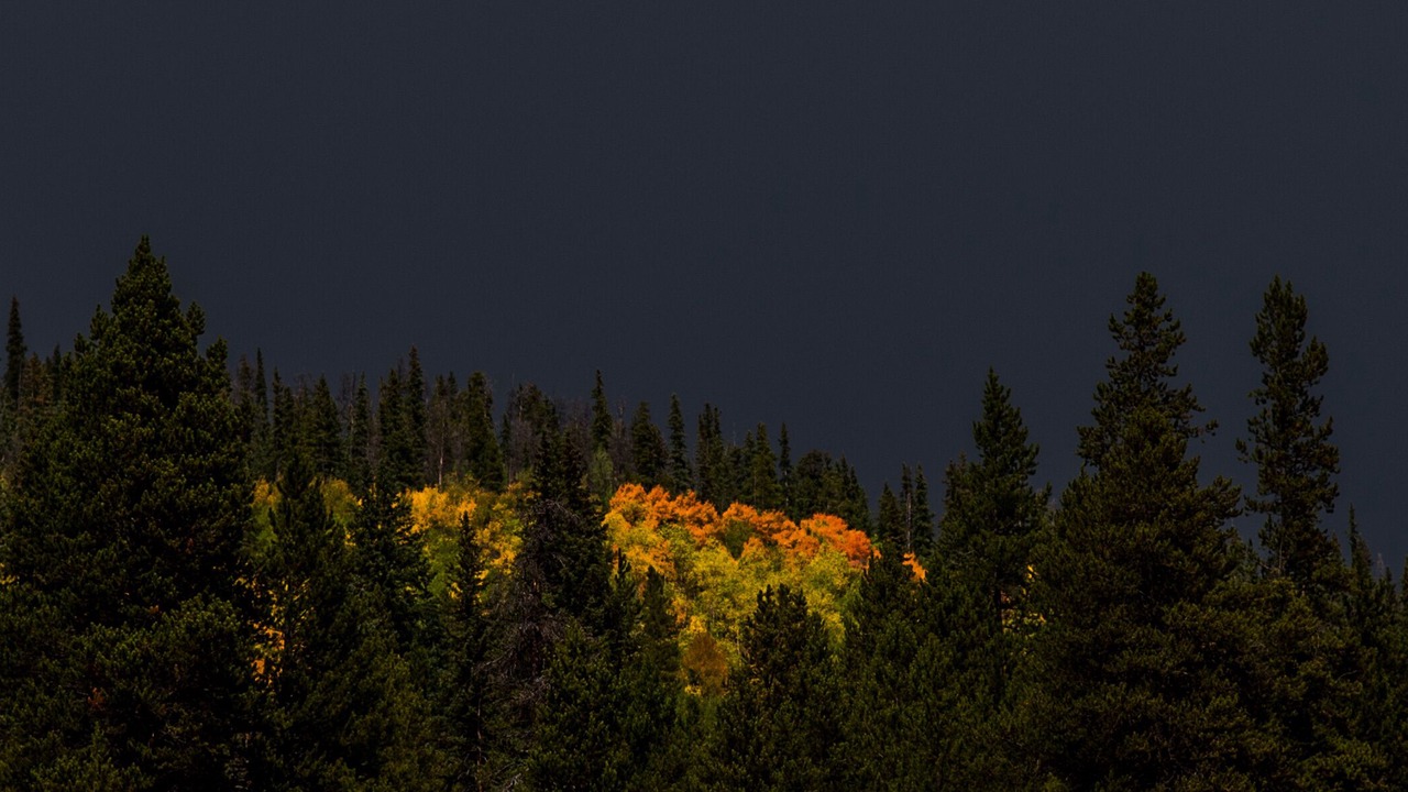 Photo of Others in Copper Mountain