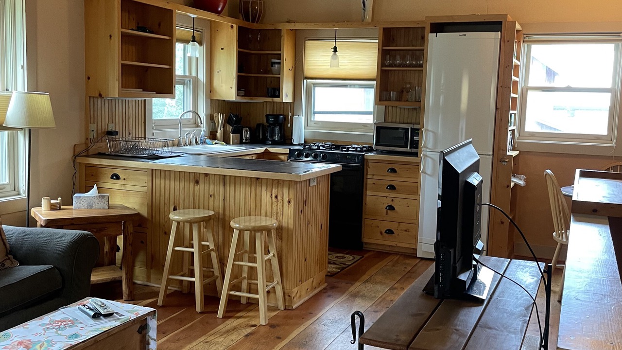 Photo of Livingroom in Crested Butte