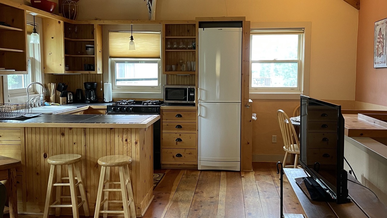 Photo of Livingroom in Crested Butte