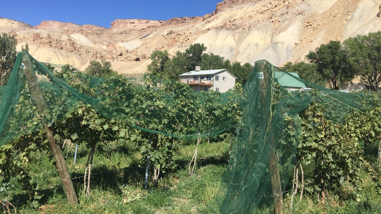 Photo of Outdoor in Palisade