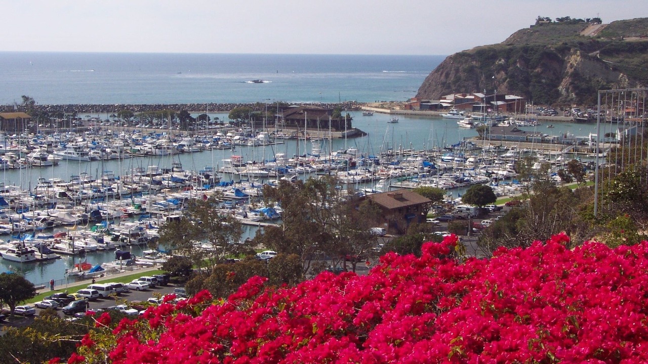 Photo of Others in Laguna Niguel