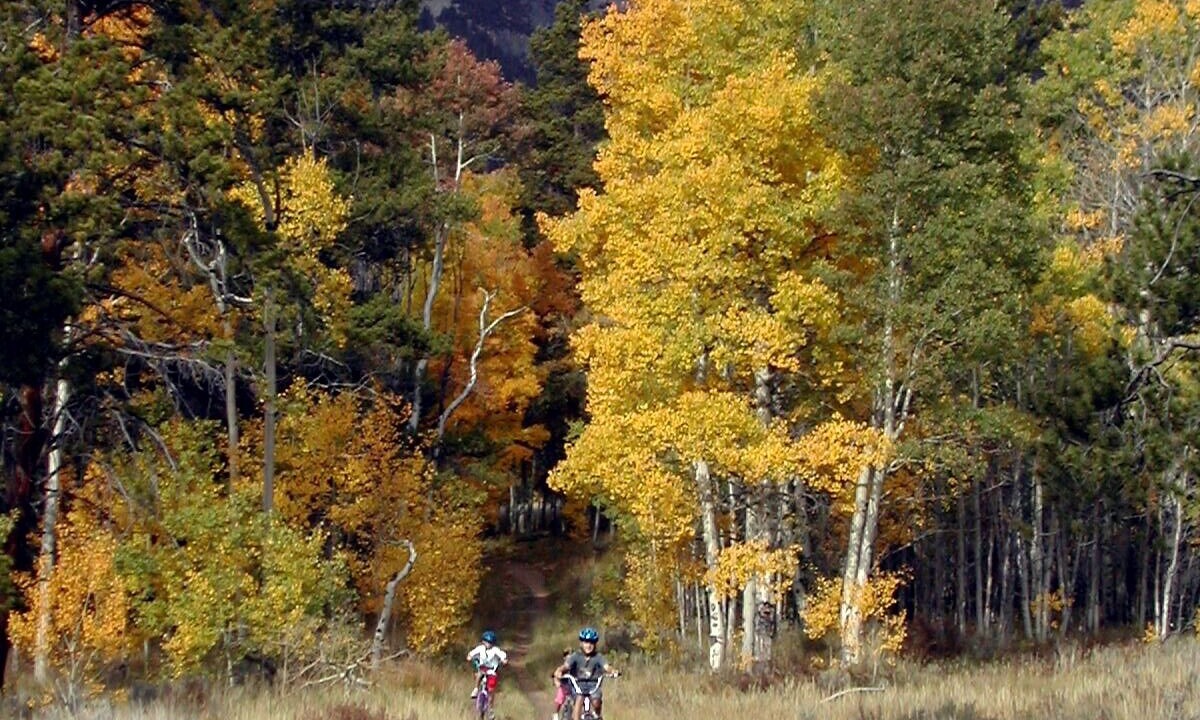 Photo of Others in Wildernest