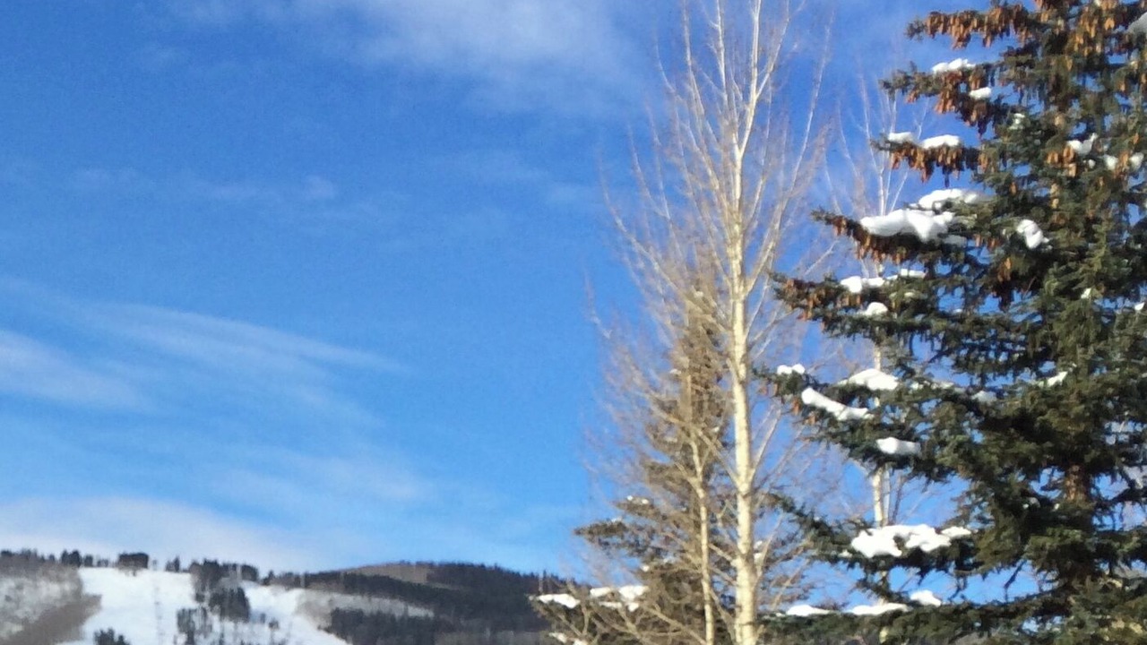 Photo of Others in Beaver Creek