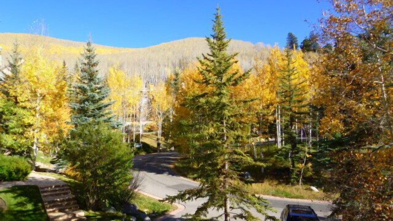 Photo of Others in Beaver Creek