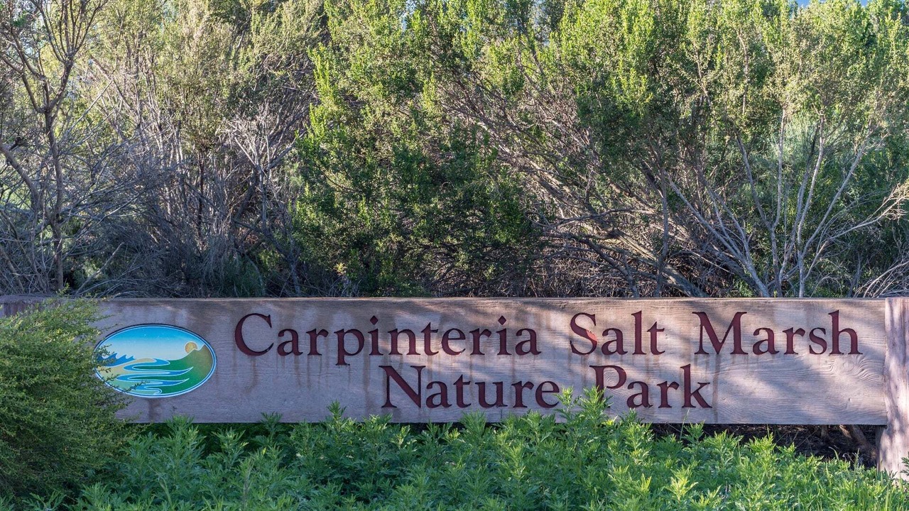 Photo of Others in Carpinteria