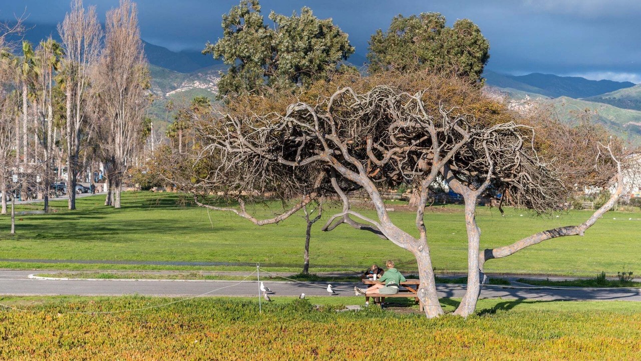 Photo of Others in Carpinteria