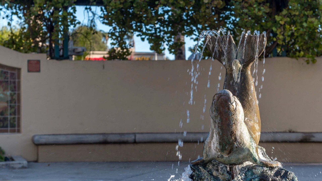 Photo of Outdoor in Carpinteria