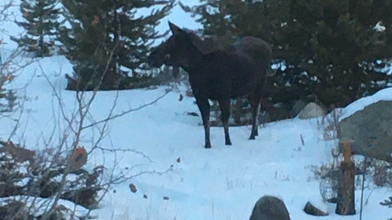 Photo of Others in Grand Lake