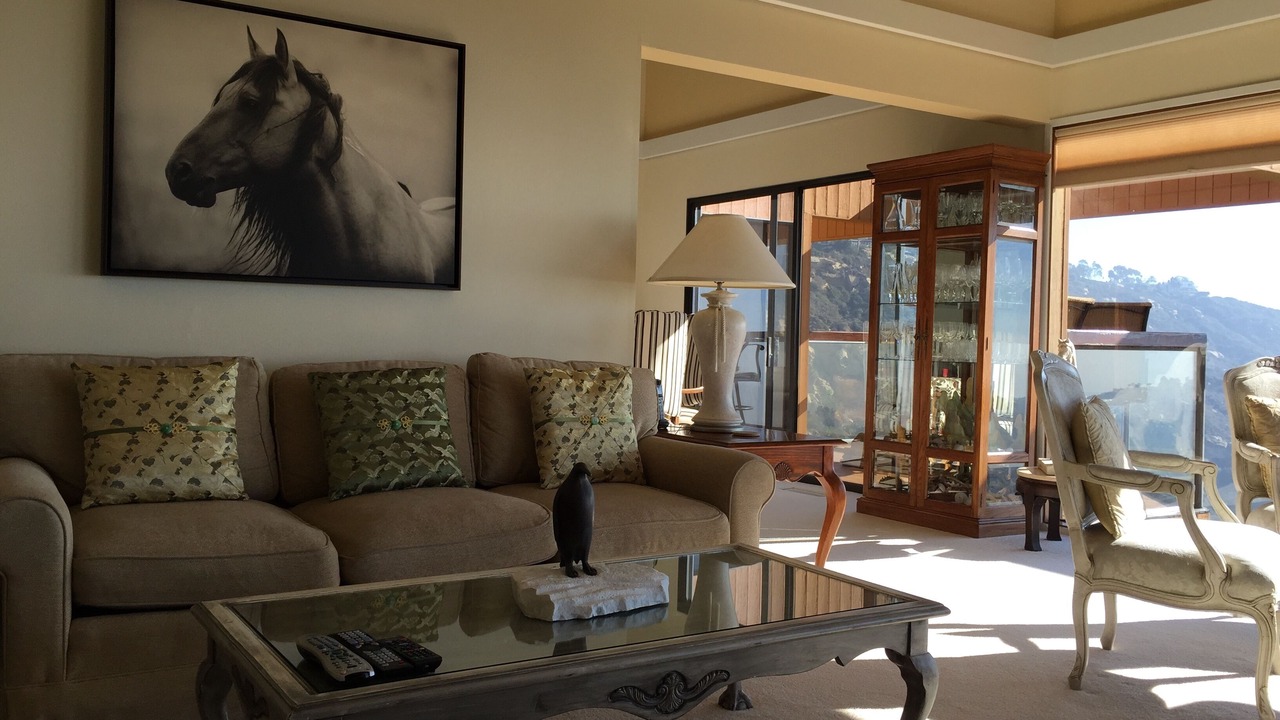 Photo of Livingroom in Laguna Beach