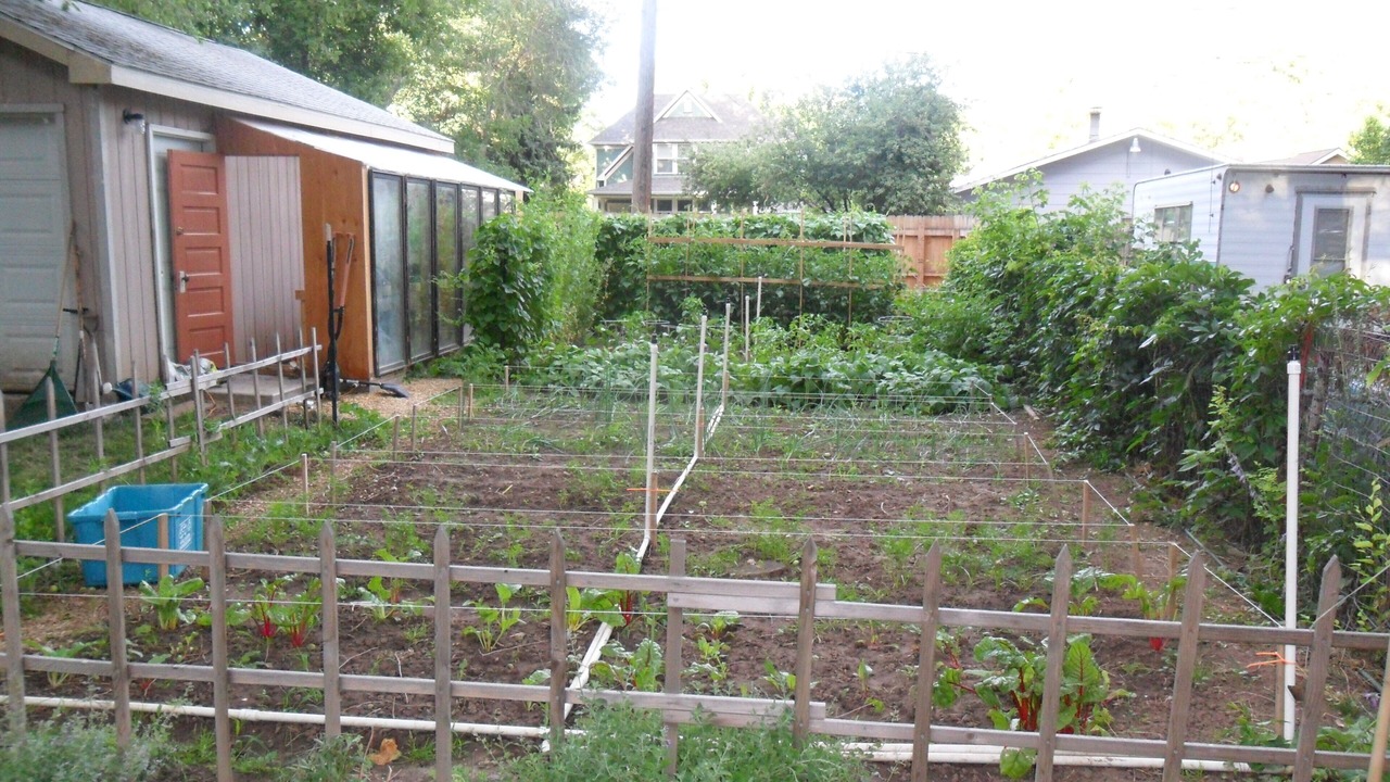 Photo of Outdoor in Old Town West
