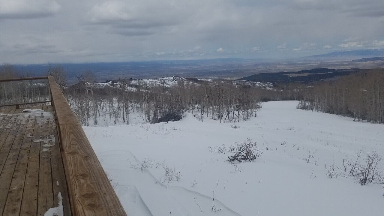Photo of Outdoor in Montrose