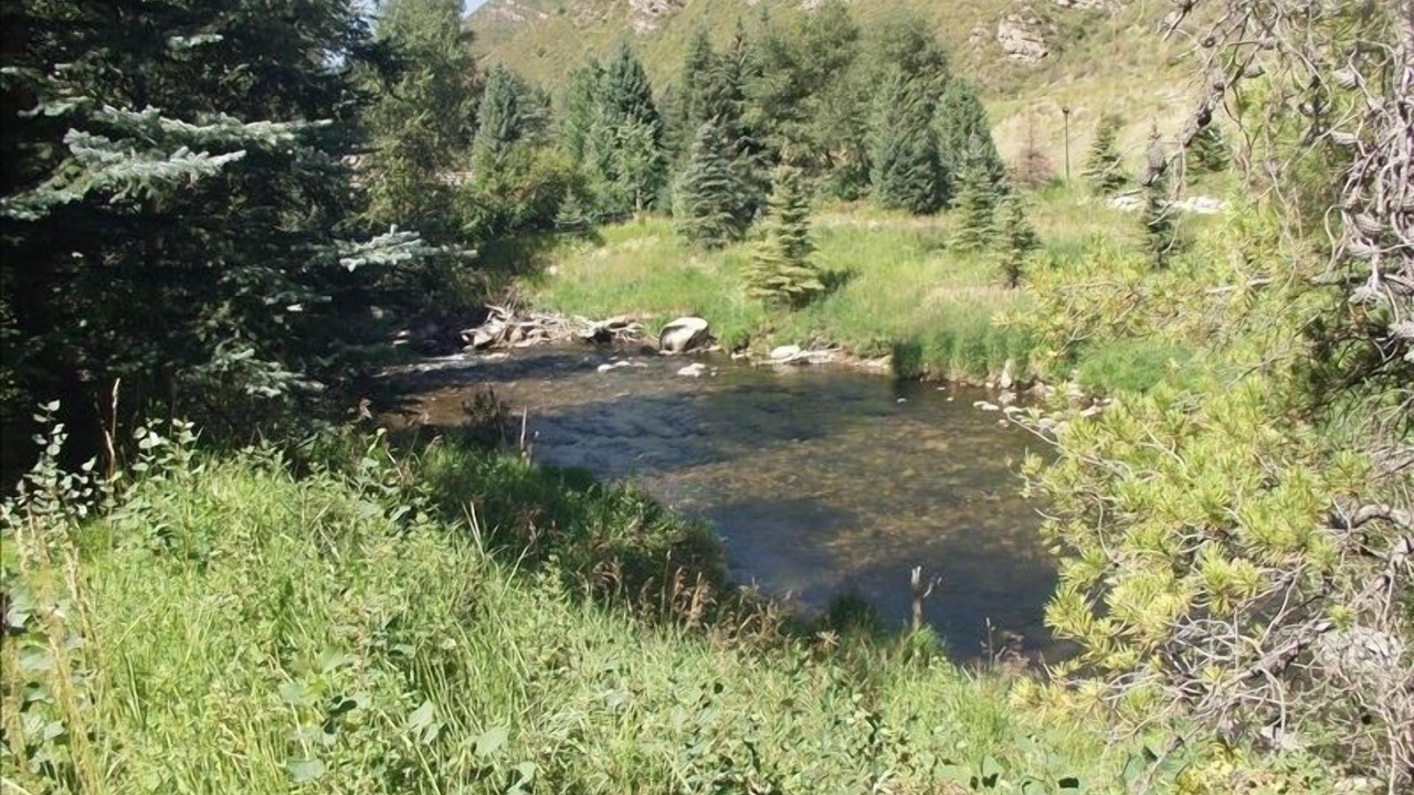Photo of Others in Timbercreek Lodges