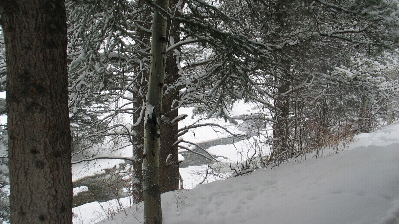 Photo of Others in Timbercreek Lodges