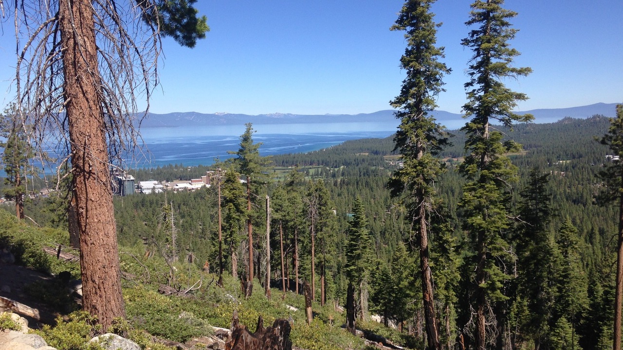 Photo of Outdoor in South Lake Tahoe