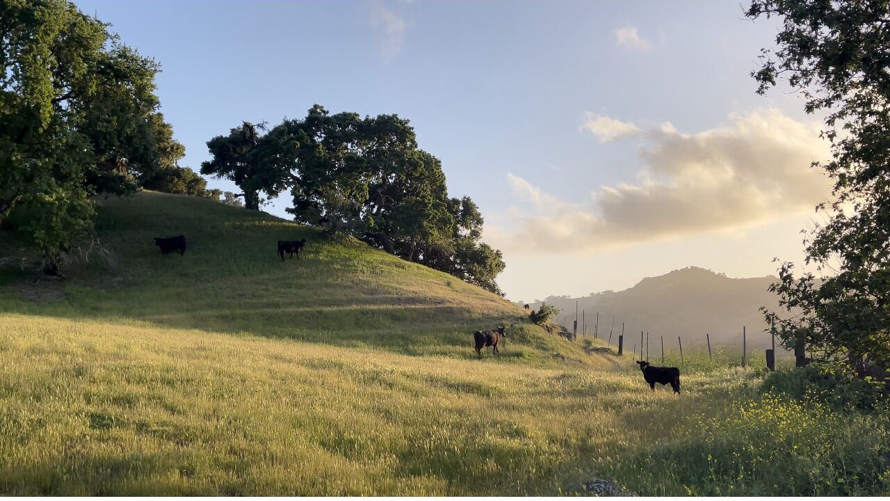 Photo of Others in Santa Barbara County