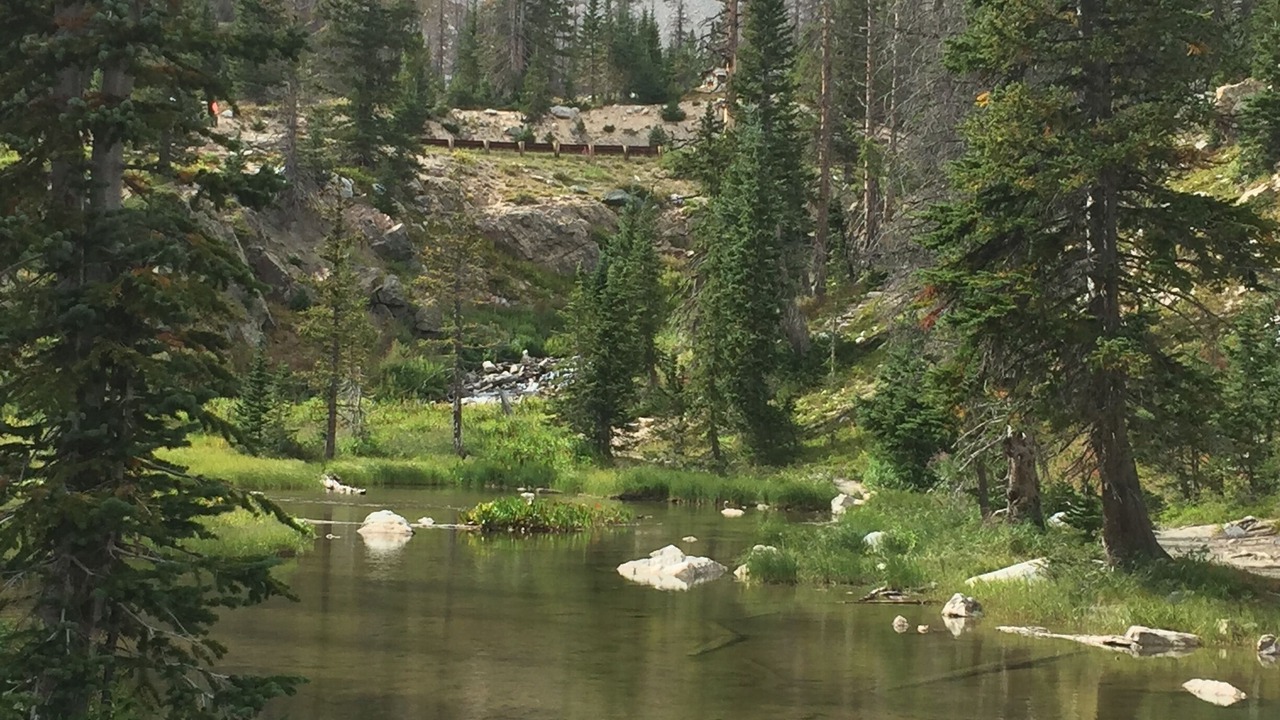 Photo of Others in Centennial