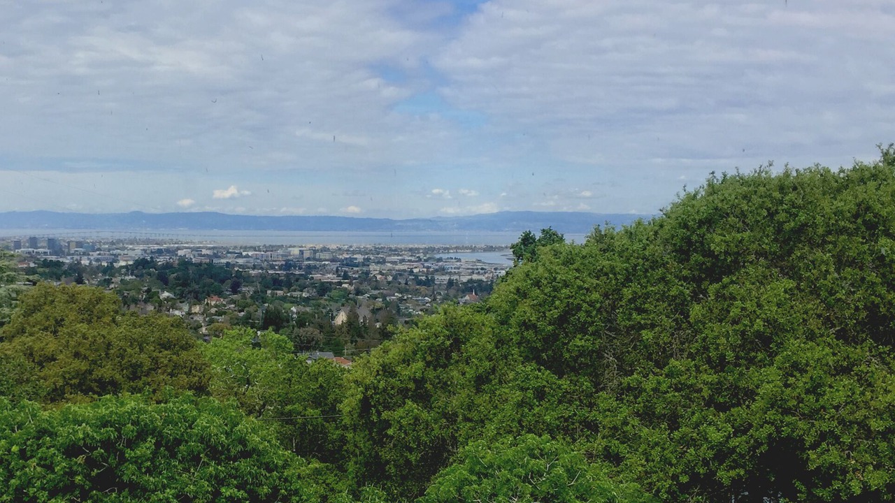 Photo of Others in Redwood City