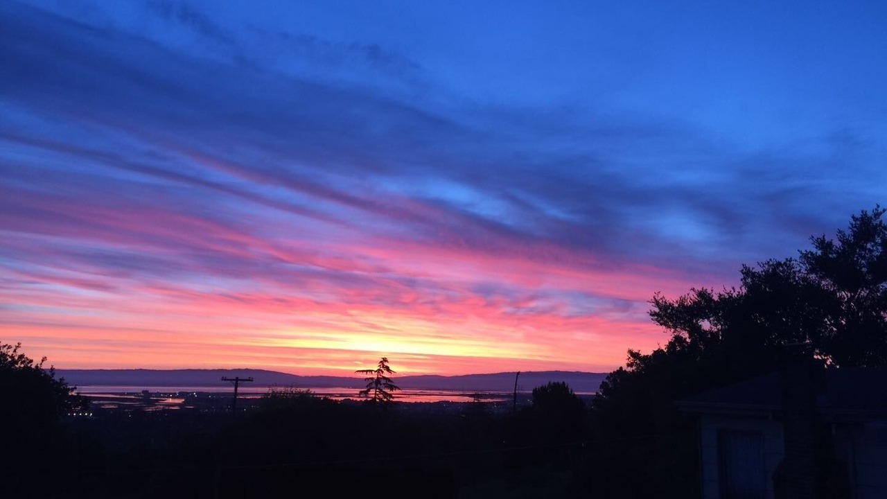 Photo of Outdoor in Redwood City