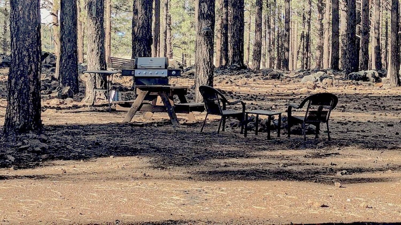 Photo of Outdoor in Parks