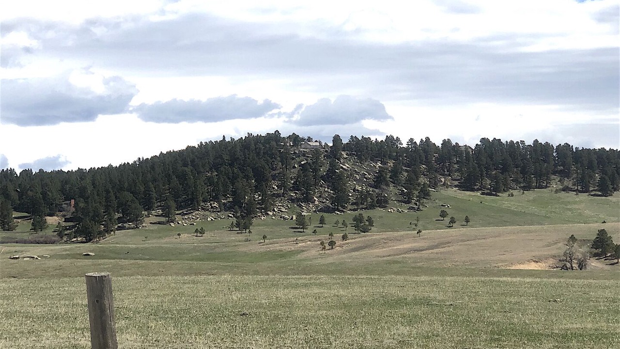 Photo of Others in Colorado Springs