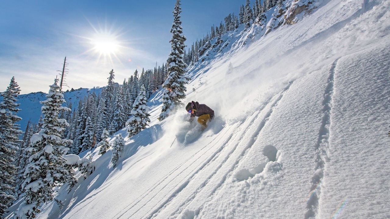 Photo of Others in Mount Crested Butte
