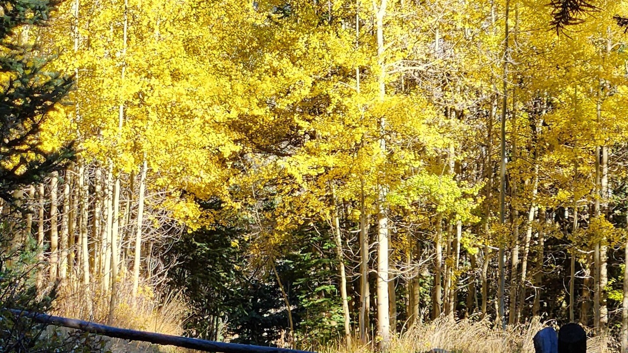 Photo of Others in Valley of the Blue