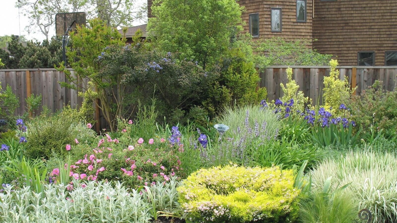 Photo of Outdoor in The Willows