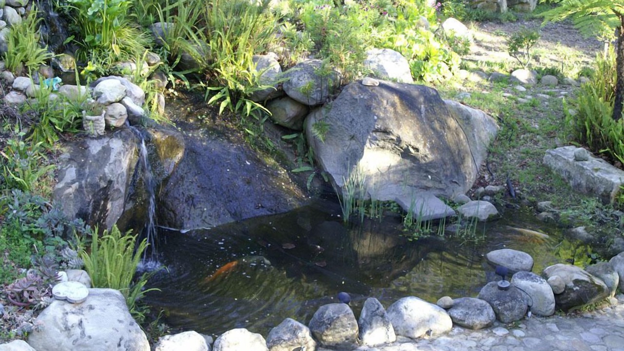 Photo of Others in Mission Canyon