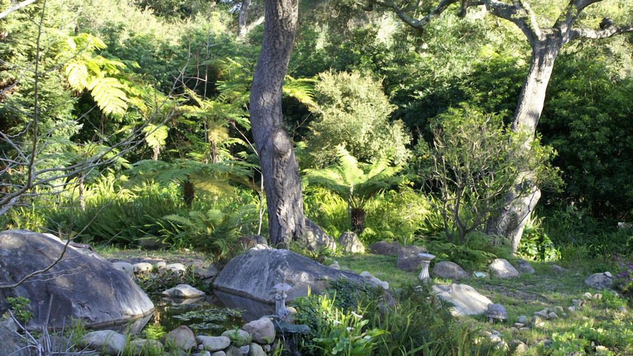 Photo of Others in Mission Canyon