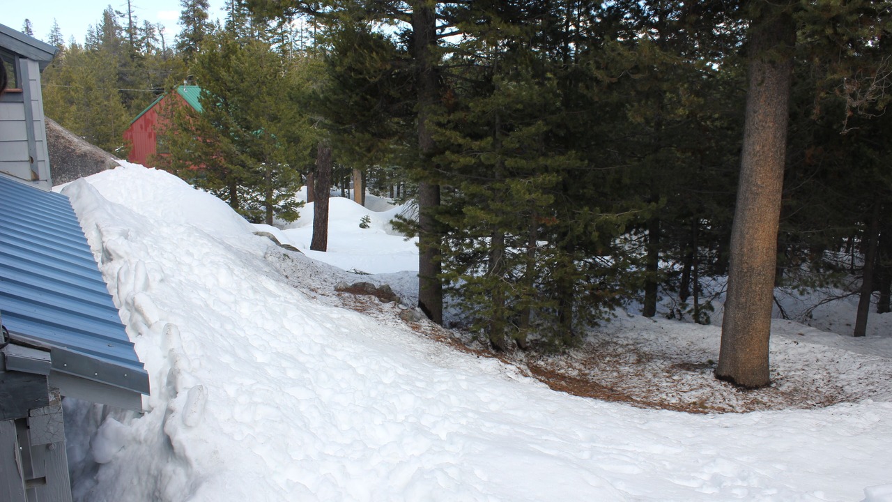 Photo of Outdoor in Bear Valley