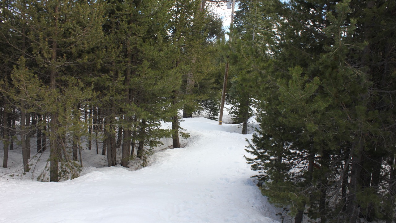 Photo of Others in Bear Valley
