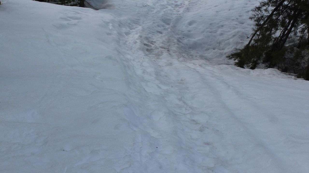 Photo of Outdoor in Bear Valley