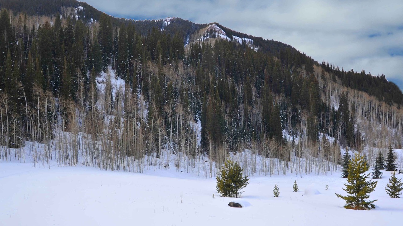 Photo of Others in Vail