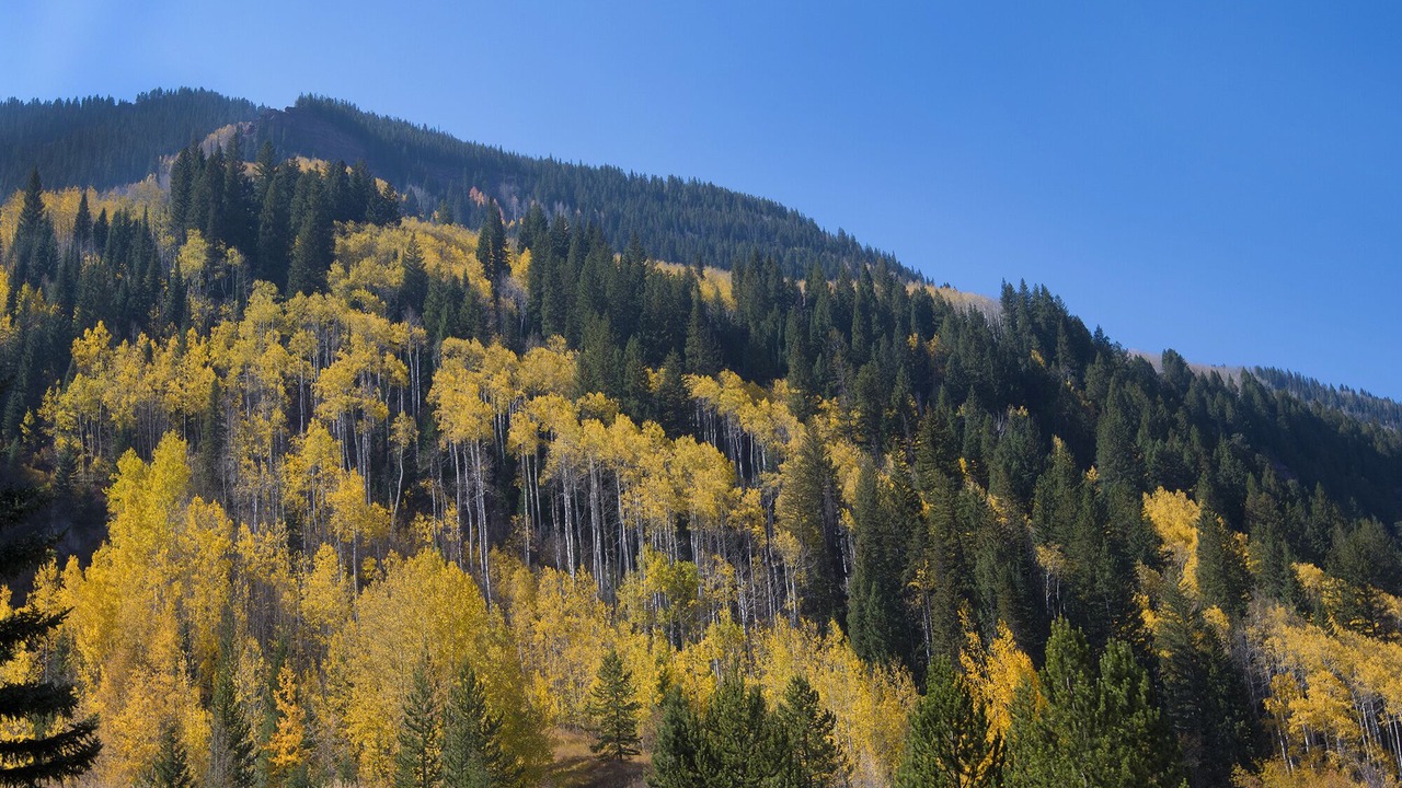 Photo of Others in Vail