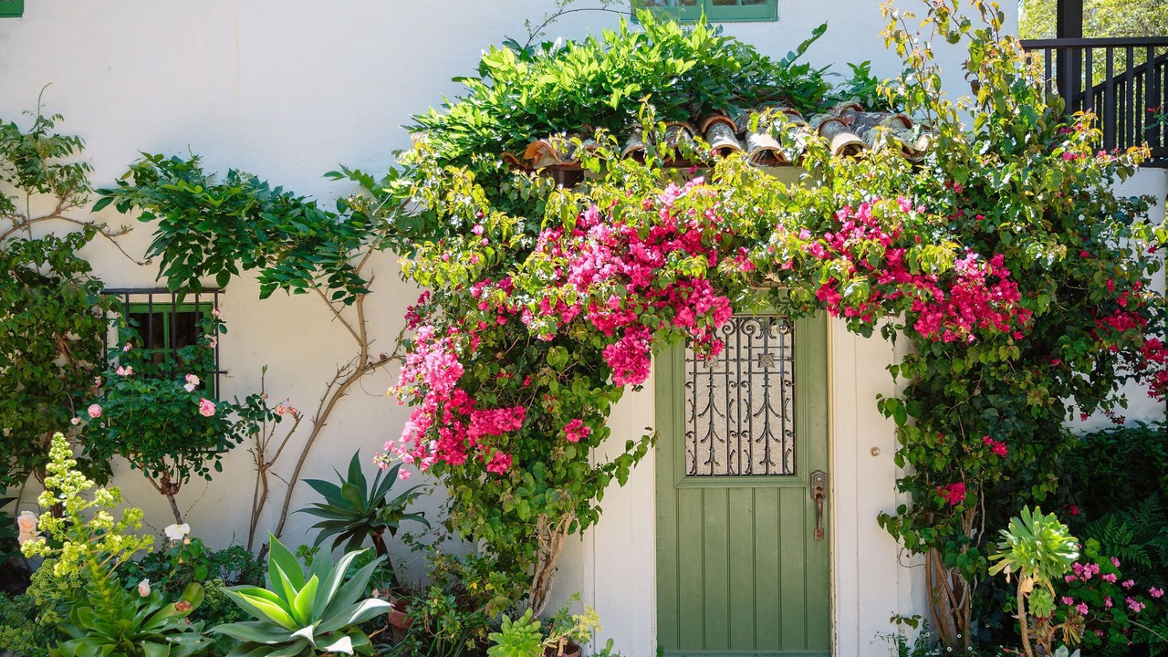 Photo of Outdoor in Montecito