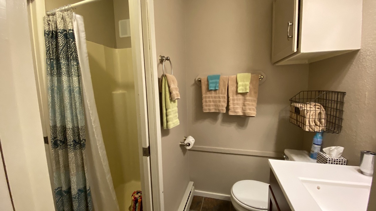 Photo of Bathroom in Crested Butte South
