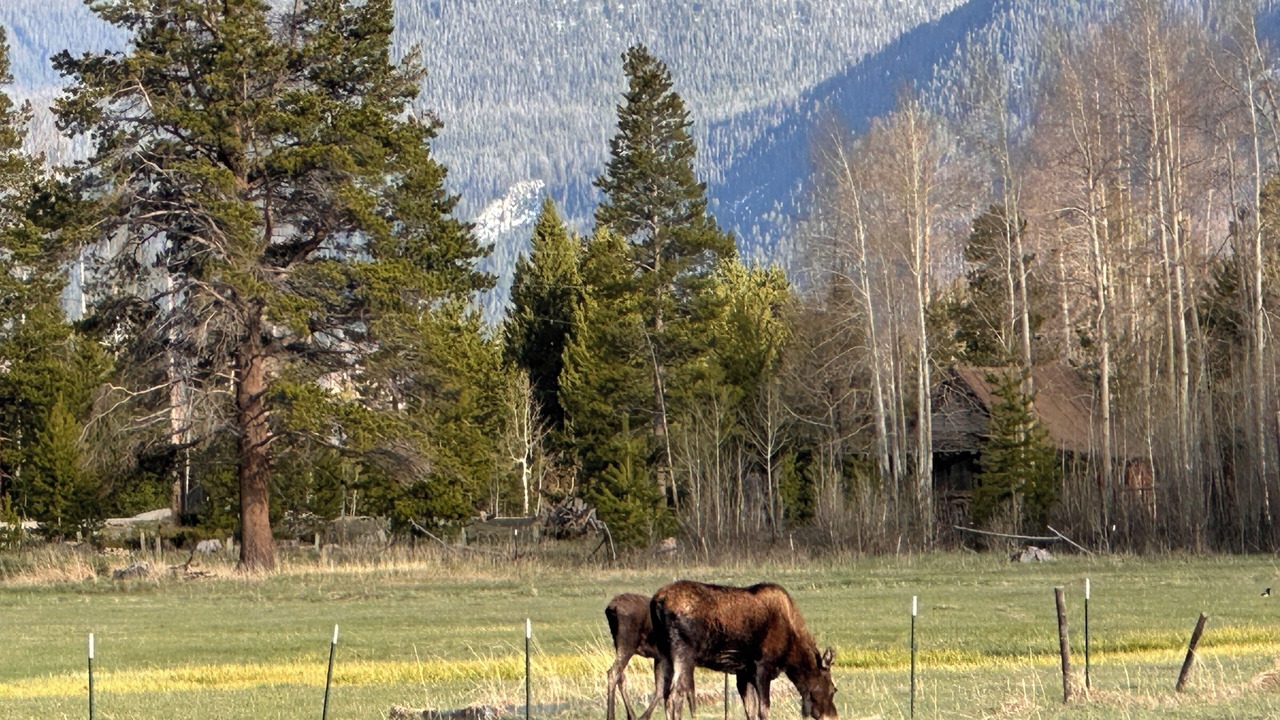 Photo of Others in Grand Lake