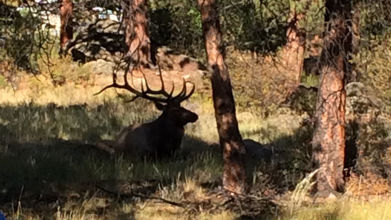 Photo of Others in Estes Park