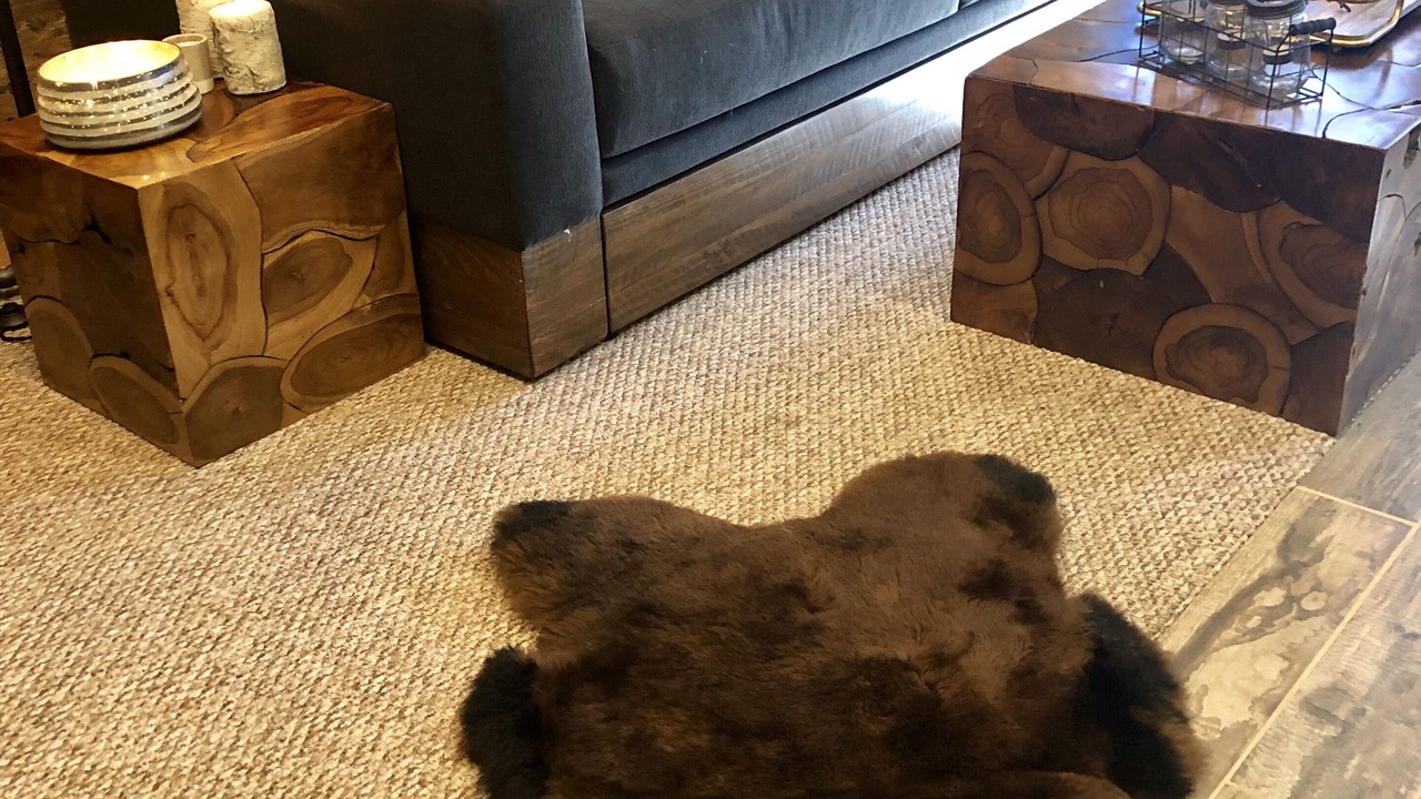 Photo of Livingroom in Telluride