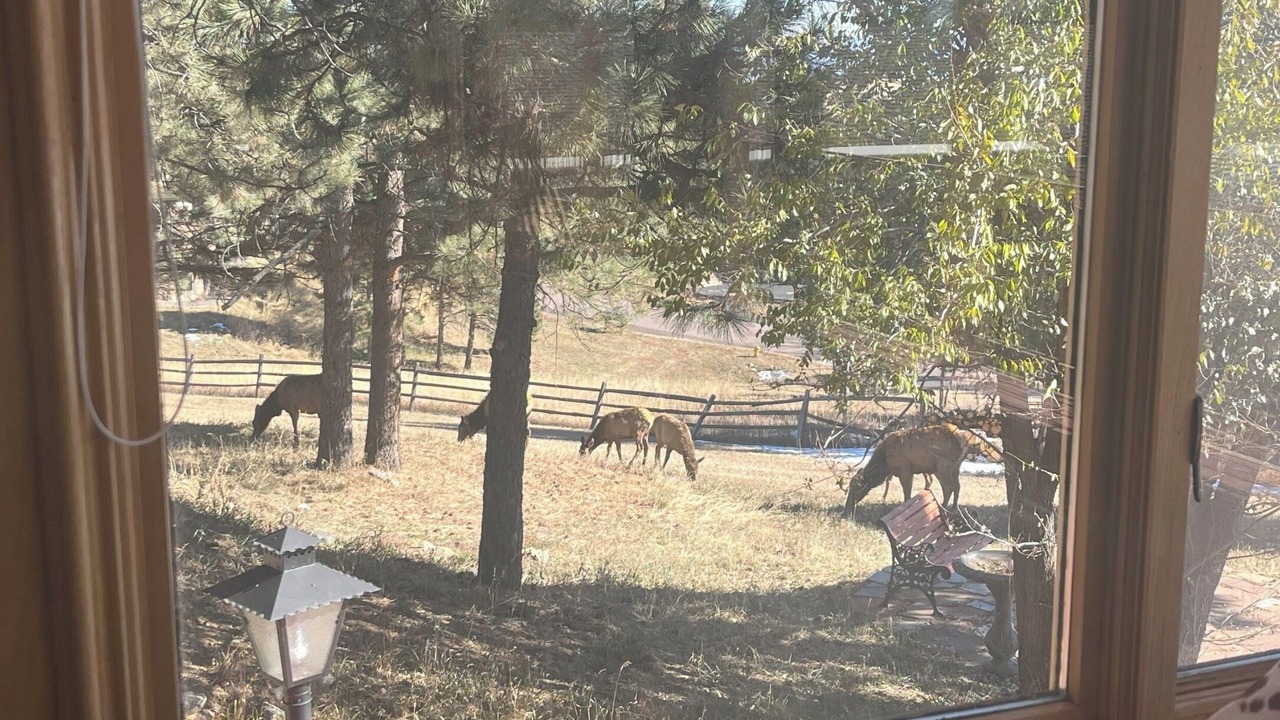 Photo of Others in Golden