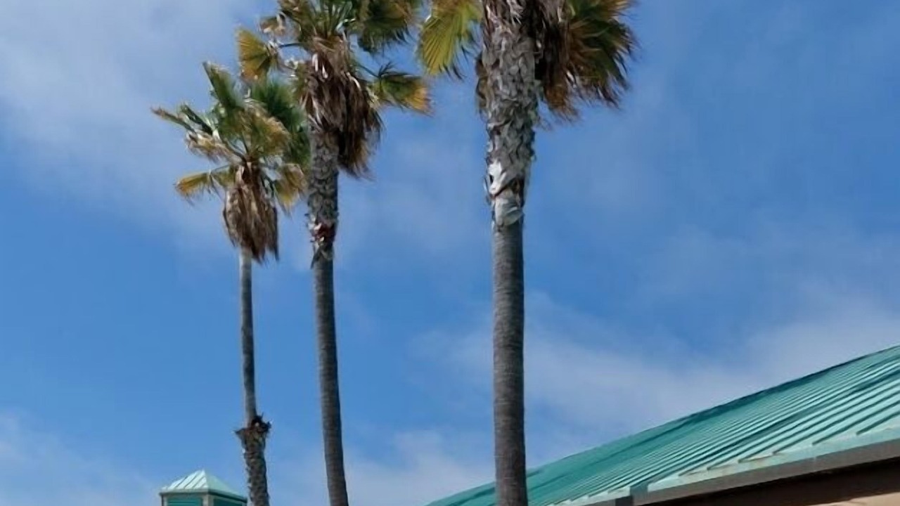 Photo of Others in Downtown