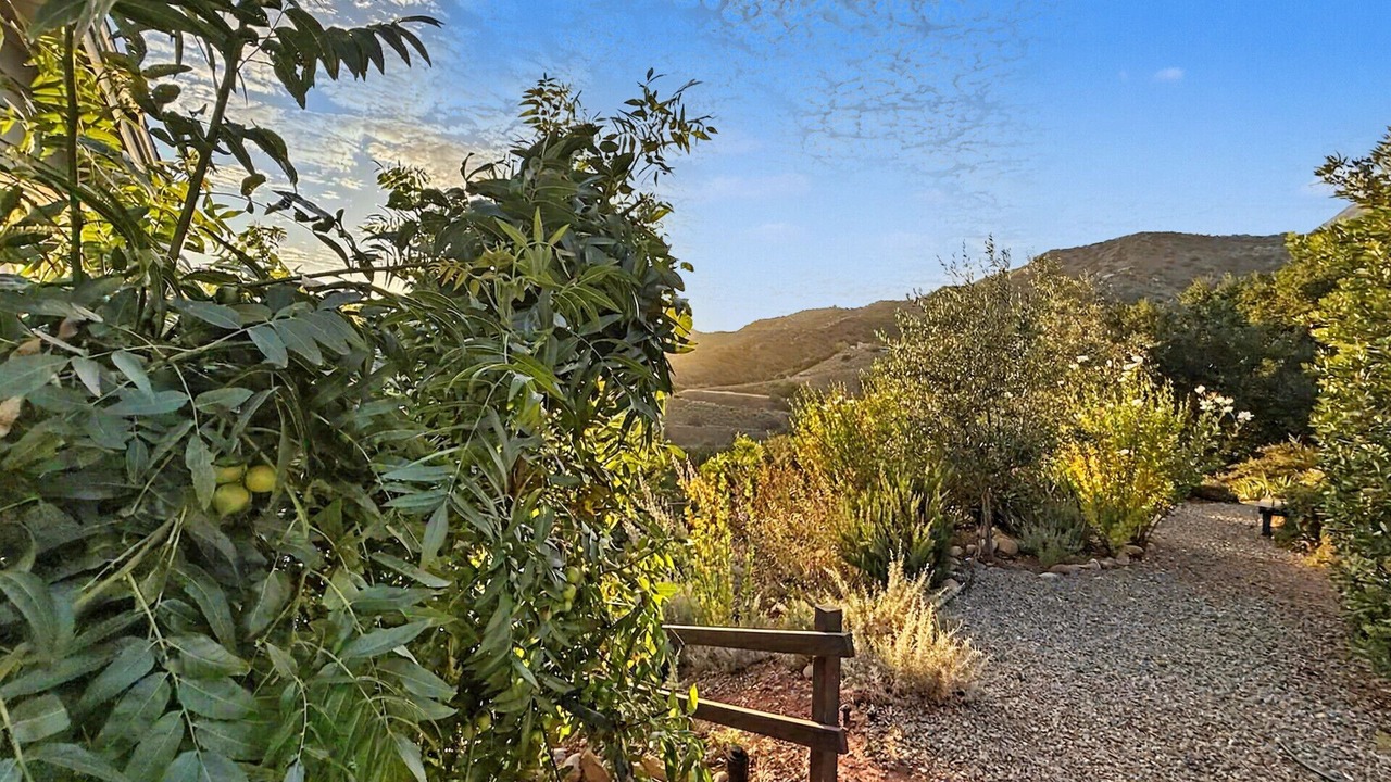 Photo of Outdoor in Ojai