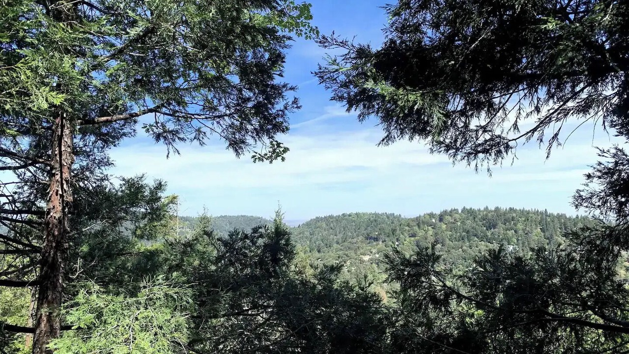 Photo of Others in Crestline