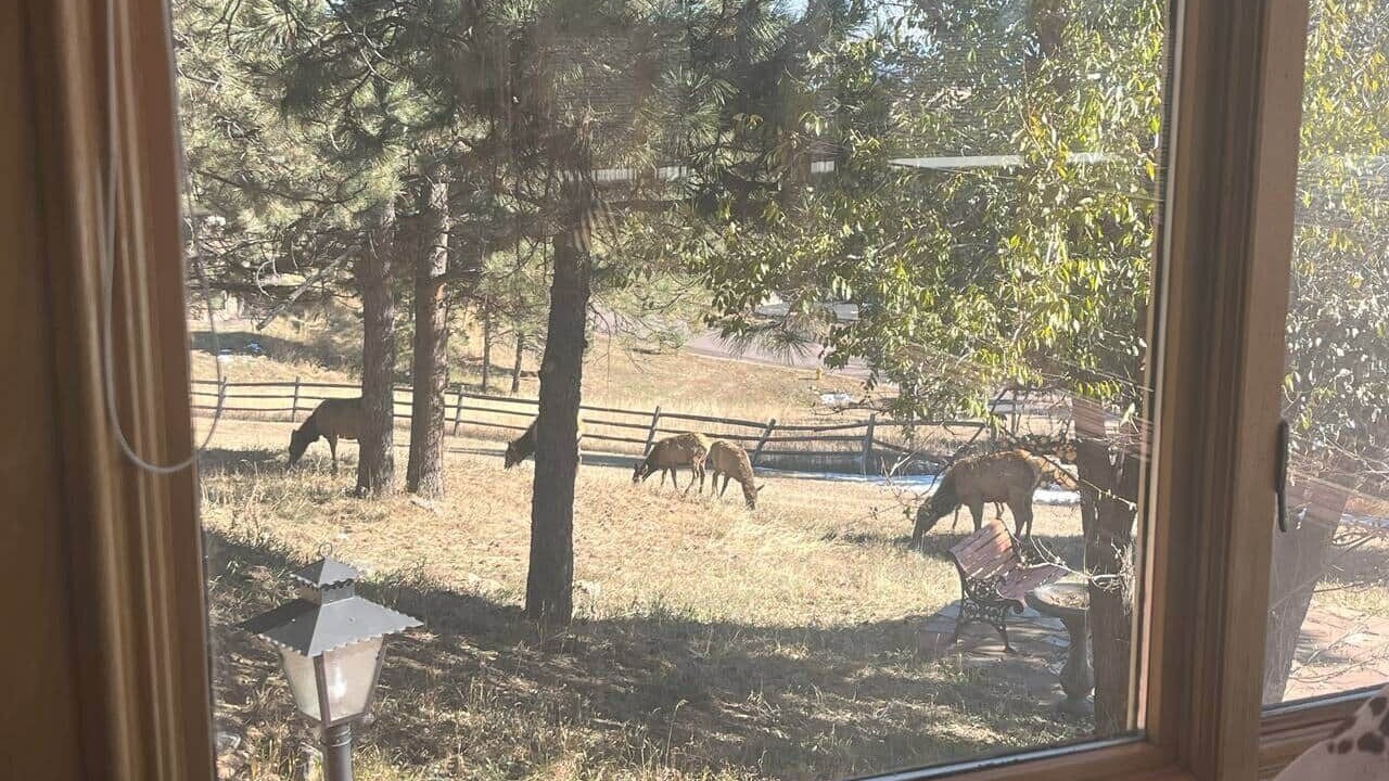 Photo of Others in Golden