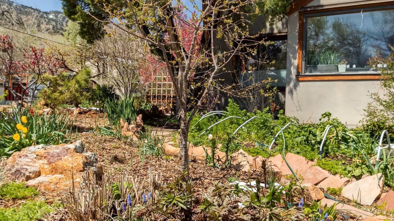 Photo of Outdoor in Newlands